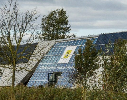 SDO laat terugkerende gast inslapen