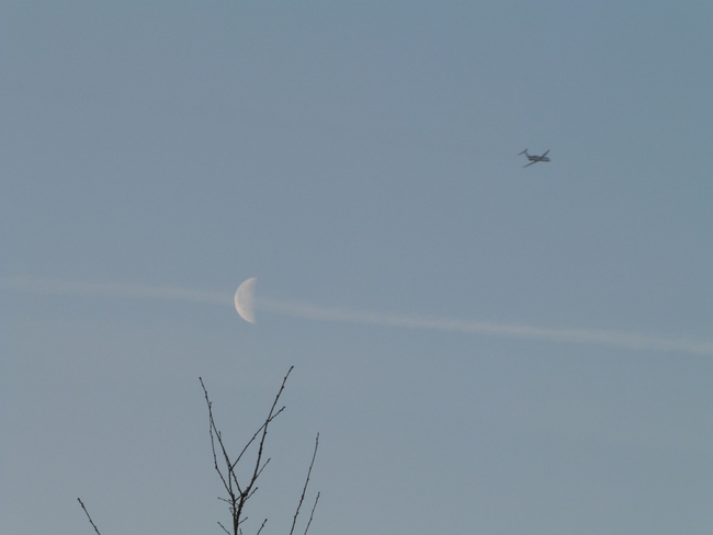 PvdA-petitie voor verplaatsing van Schiphol