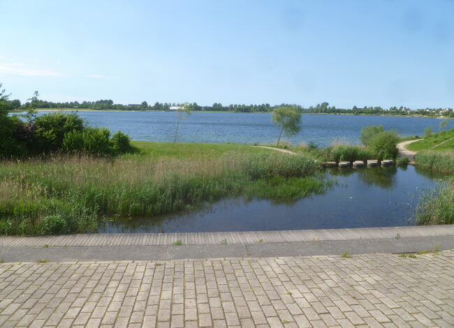 Opschoonactie rond Toolenburgerplas