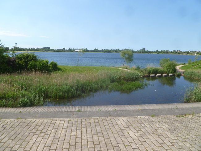 Opschoonactie rond Toolenburgerplas