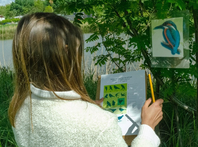 Kennemer Vogeldag in Spaarndam