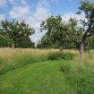 Lezing over Natuurbegraafplaats Geestmerloo