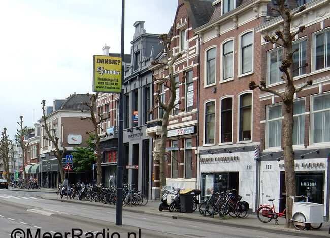 Natuur ochtendwandeling in Haarlem