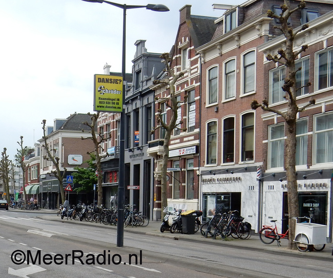 Natuur ochtendwandeling in Haarlem