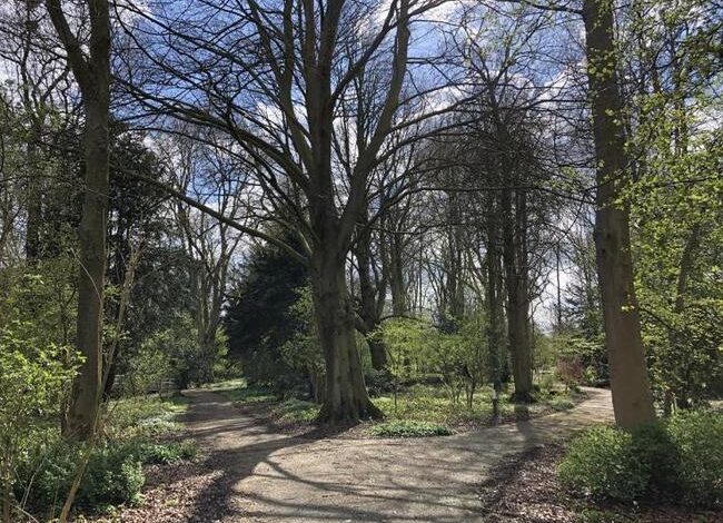 Heesters wandelbos Hoofddorp worden uitgedund