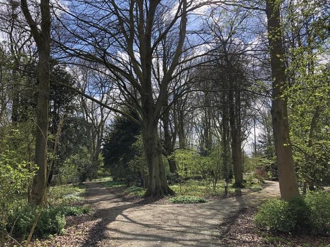 Heesters wandelbos Hoofddorp worden uitgedund