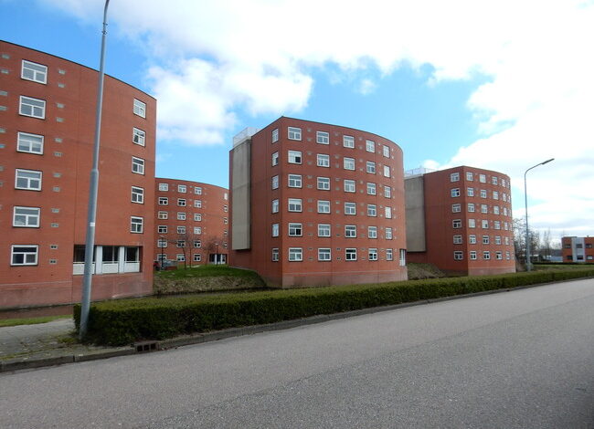 10 jaar cel geëist voor dodelijke schietpartij