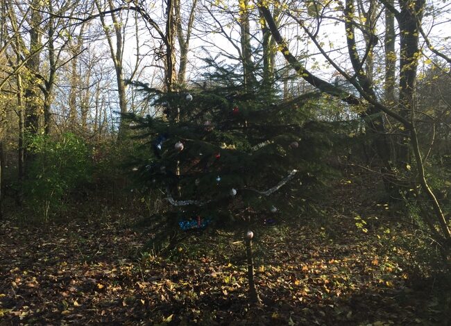 Organisator Electronic Garden festival kondigt nieuw evenement in Hoofddorp aan