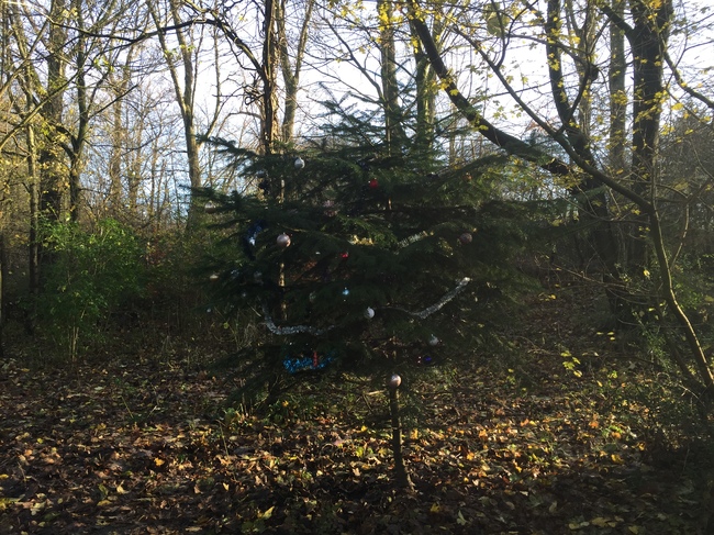 Haarlemmermeerse bos al in kerstsfeer