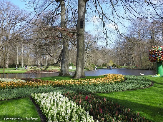 Keukenhof is weer geopend