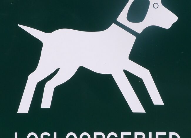 Flinke boost voor recreatiegebied Plesmanhoek