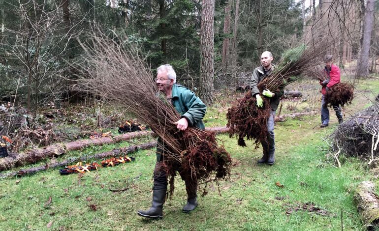 Uitdeeldag bomen groen succes!