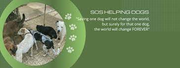 SOS Helping Dogs helpt Bulgaarse honden en katten