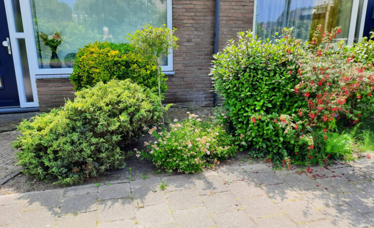 Hoofddorp wordt steeds groener