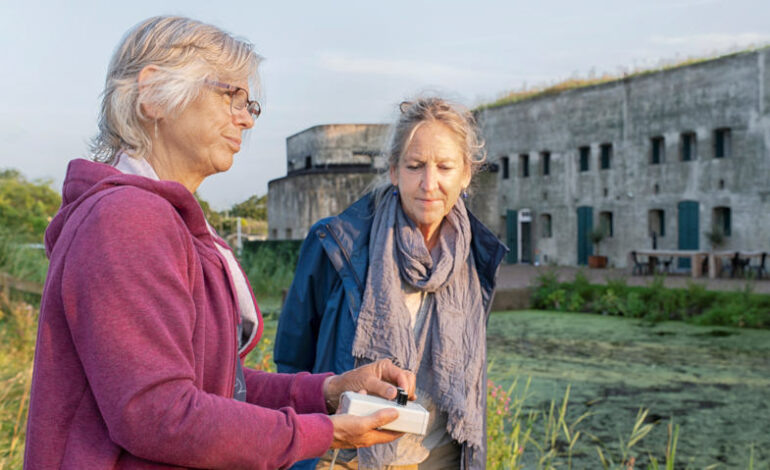 Op zoek naar vleermuizen op Geniedijk