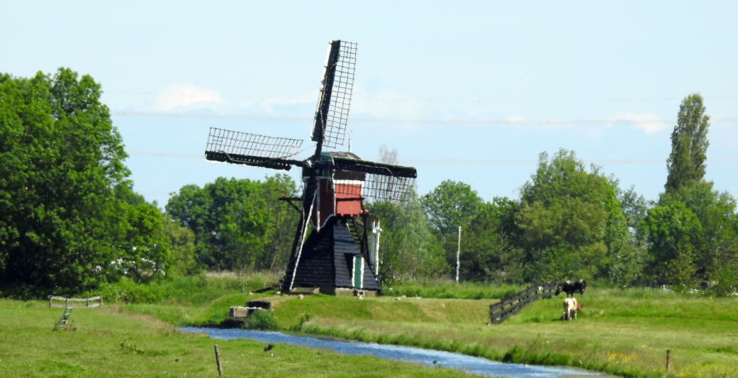 IVN-wandeling over Kaageiland