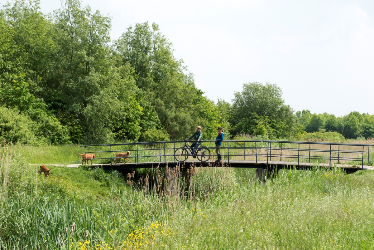 Venneperhout aantrekkelijker voor wandelaars