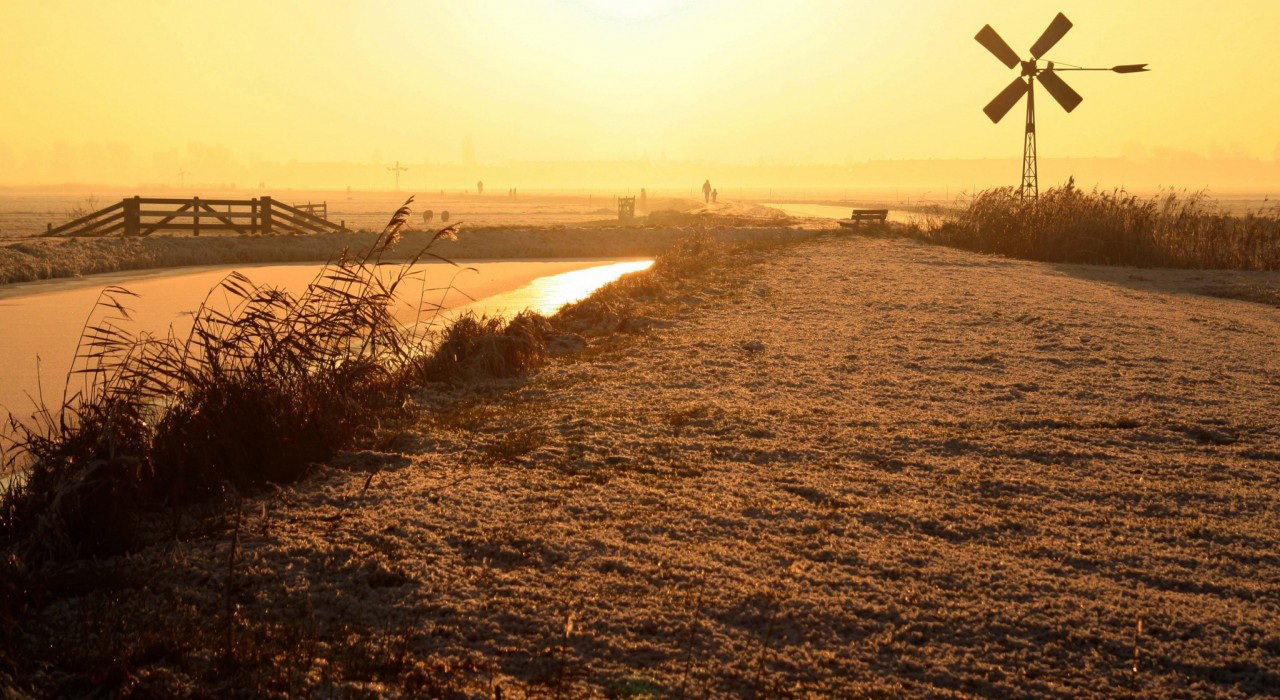 Leerzaam wandelen en op vogeljacht met IVN Zuid-Kennemerland