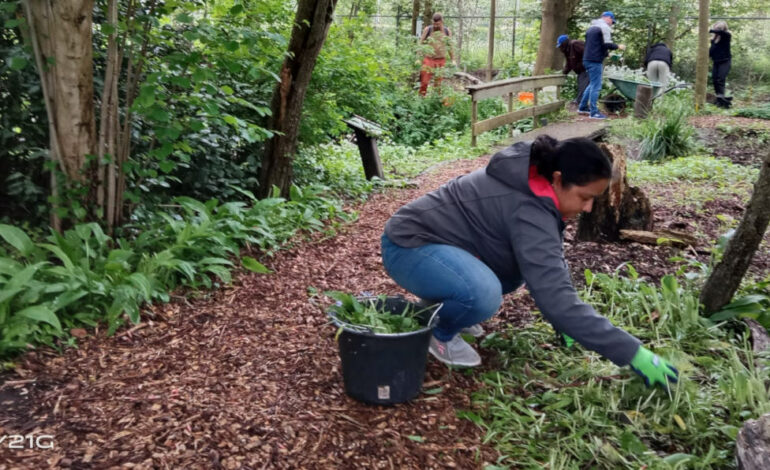 Organisaties actief tijdens Natuurwerkdag