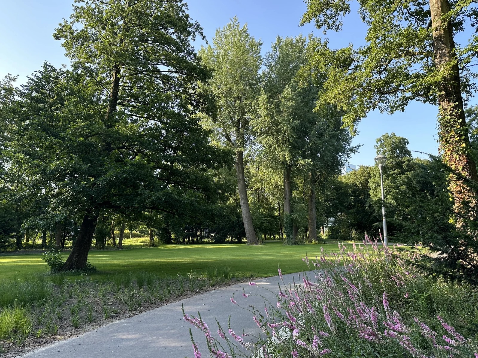 Vernieuwde Stadpark Hoofddorp geopend