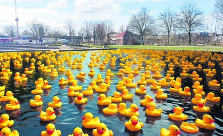 Badeendenrace in Zwanenburg