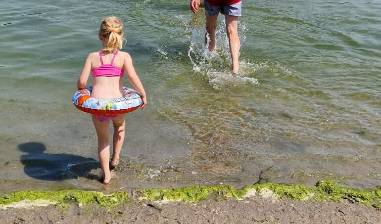 Blauwalg in Bosplas en Toolenburgerplas voorlopig veilig