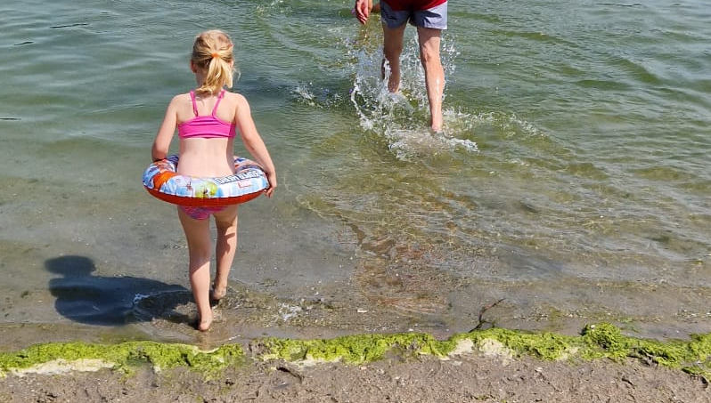 Blauwalg in Bosplas en Toolenburgerplas voorlopig veilig