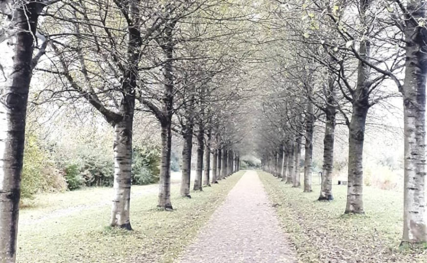 Haarlemmermeer steeds populairder voor dagjes uit