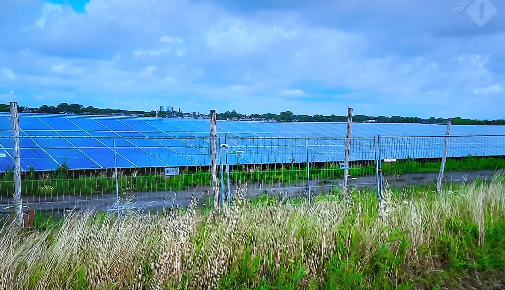 Eigenaar zonnepark moet flink aantal panelen verwijderen