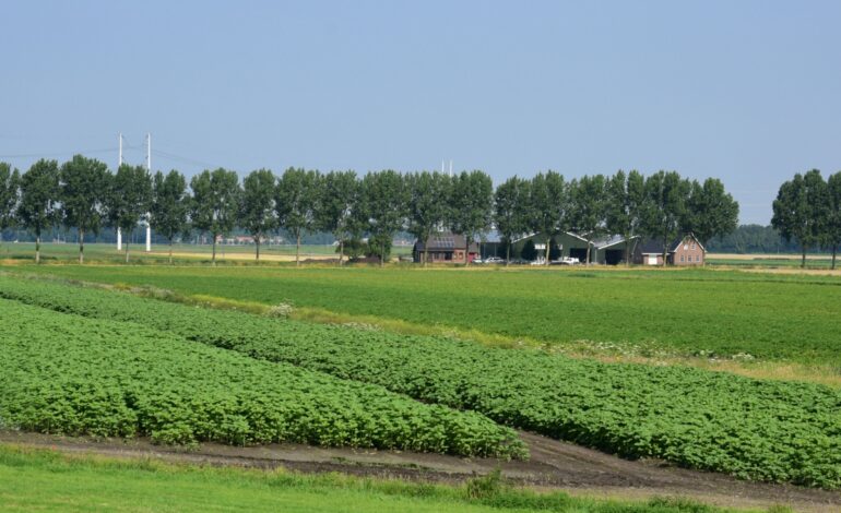 Splitsen woningen in landelijk gebied