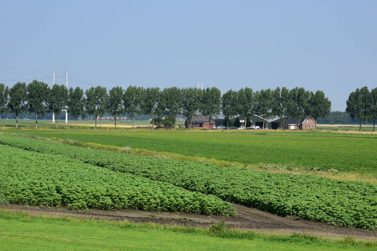 Splitsen woningen in landelijk gebied