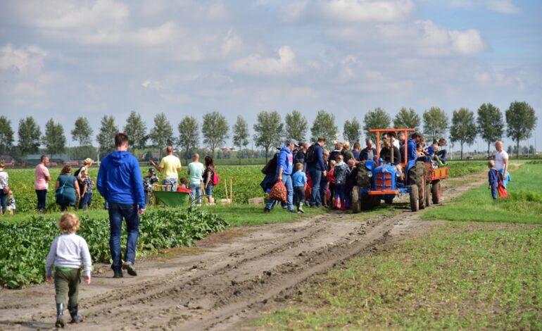 Aardappeloogstdag op Parklanden
