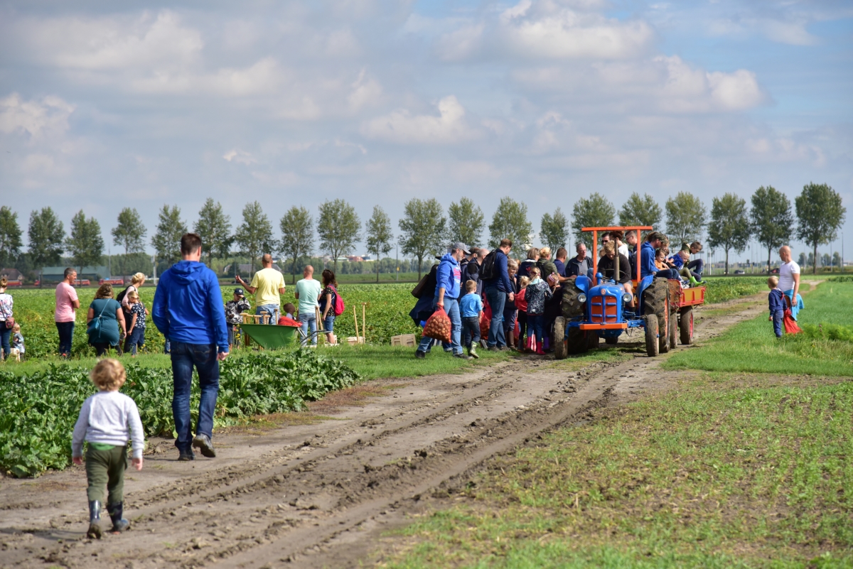 Aardappeloogstdag op Parklanden