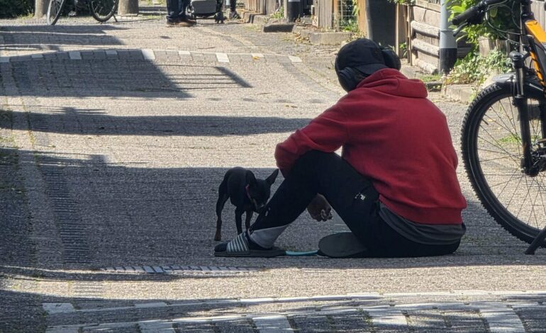 Oud & Nieuw: het stille lijden van dieren