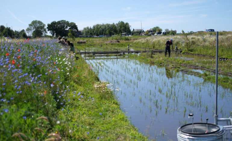 Lezing over burgerinitiatief Land van Os in Heimanshof