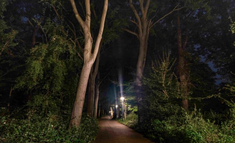 Provincie: licht waar nodig, donker waar het kan, fietspaden slimmer verlicht