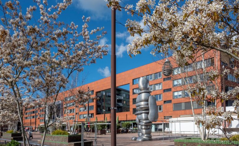 Fietser gewond na aanrijding op rotonde