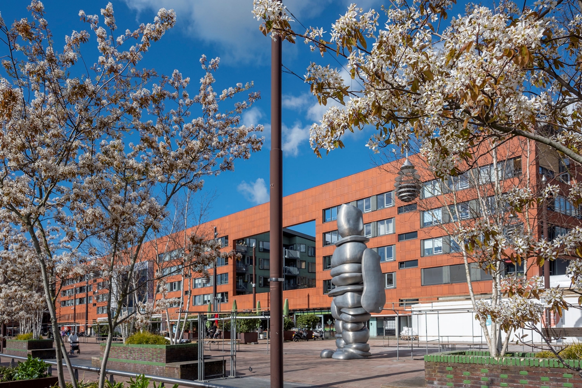 Fietser gewond na aanrijding op rotonde