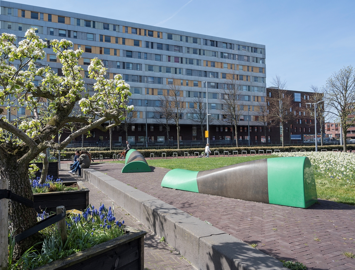 Bewoners Hoofddorp klagen over rattenoverlast bij Chicagoflat