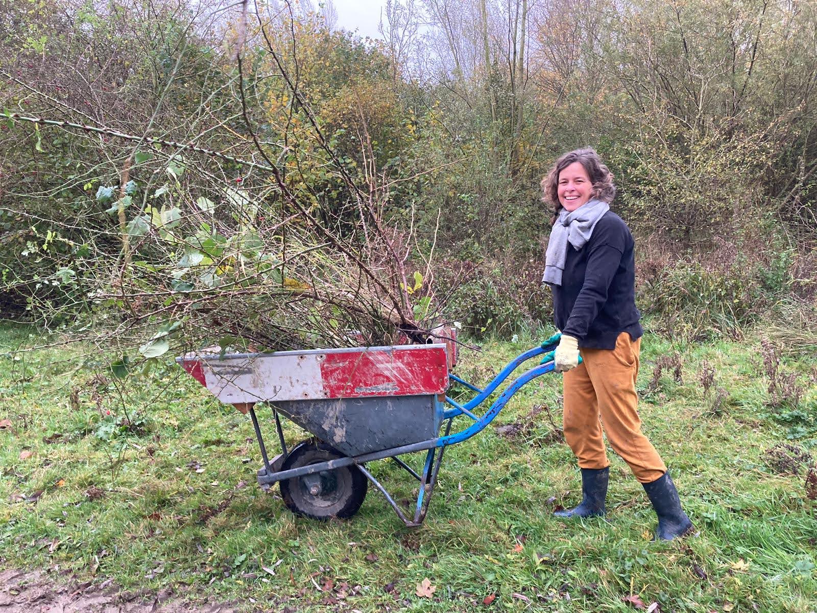Laatste boomweggeefactie dit jaar in Hoofddorp