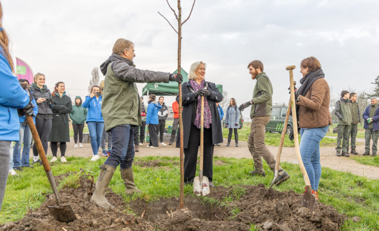 Laatste bomen geplant voor vernieuwd Vliegerlaantje in de Venneperhout