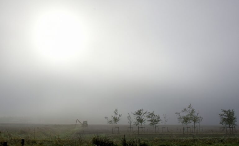 Aardappeltelers hebben het moeilijk