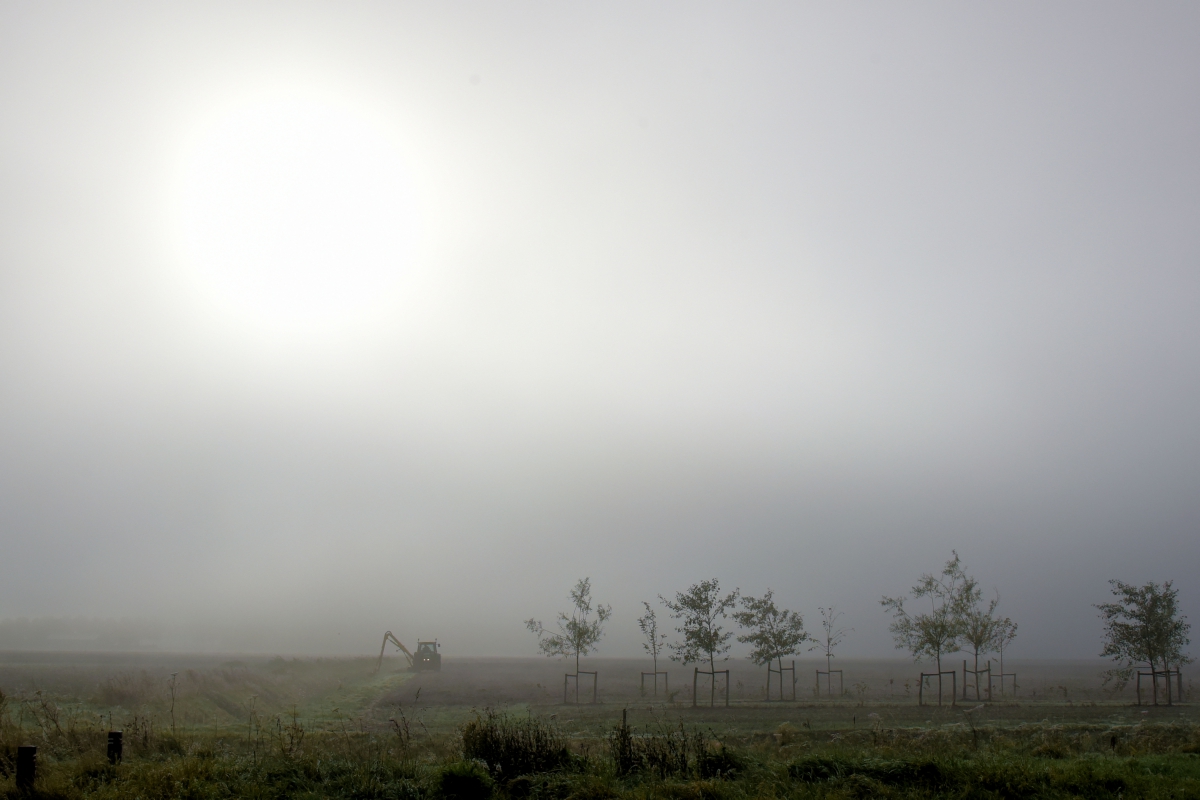 Aardappeltelers hebben het moeilijk
