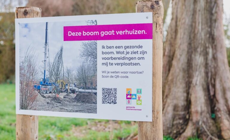 Bomen verhuizen in plaats van kappen in Nieuw-Vennep