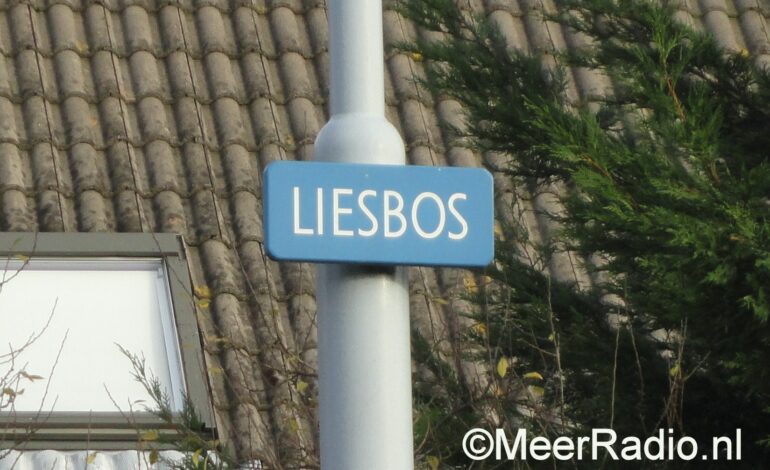 Persoon overleden bij steekpartij Hoofddorp