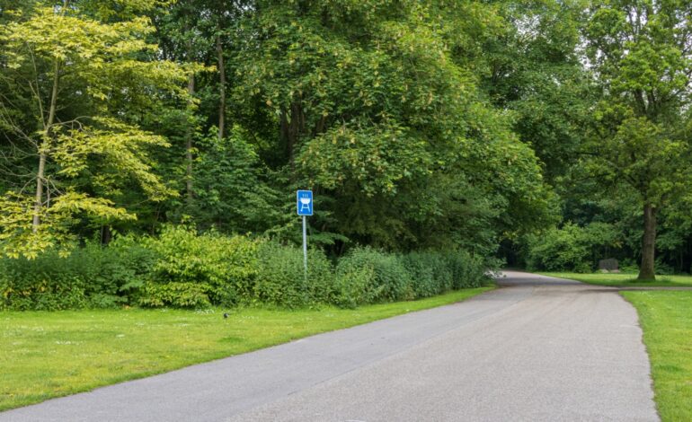 Gezinnen gezocht voor zomervakantie van kwetsbare kinderen