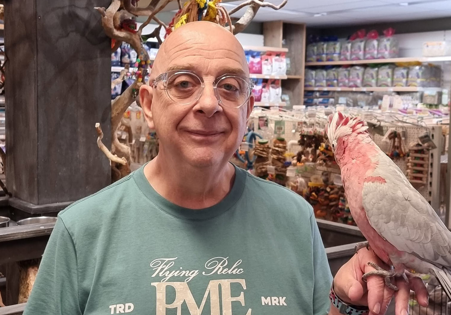 Tips om huisdieren koel te houden