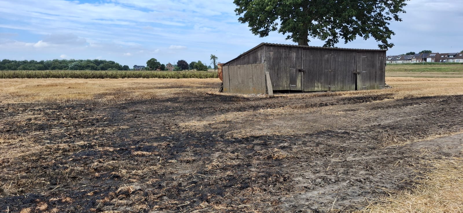 Brandweer voorkomt uitbreiding van akkerbrand in Beinsdorp