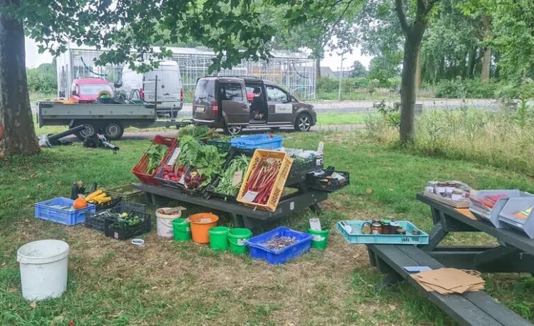 Van bloemenzaad tot biodiversiteit