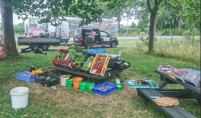 Van bloemenzaad tot biodiversiteit